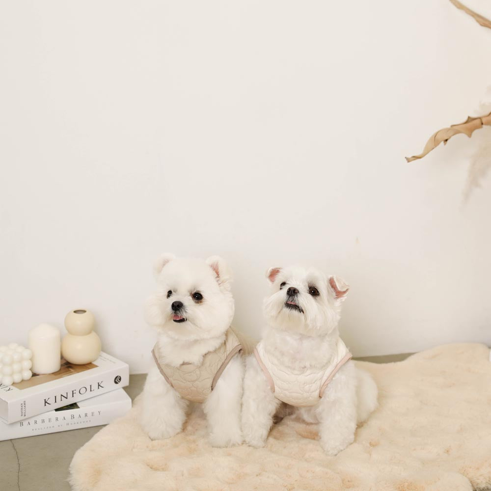 Reversible boa bear quilted jacket