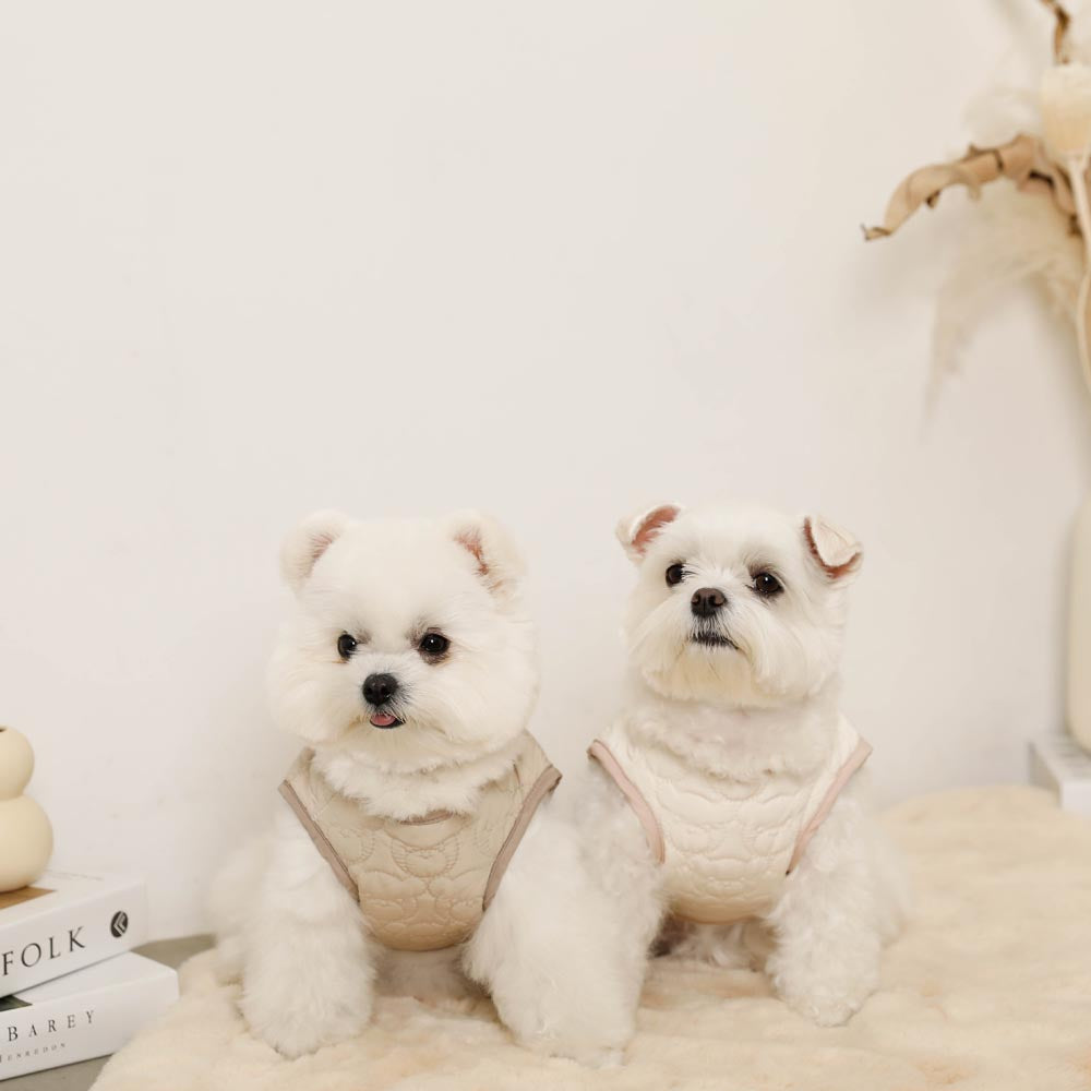 Reversible boa bear quilted jacket