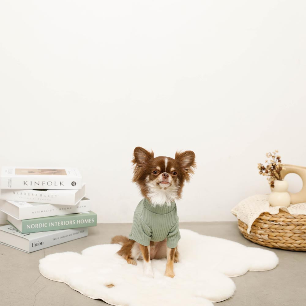 Simple high neck rib tops