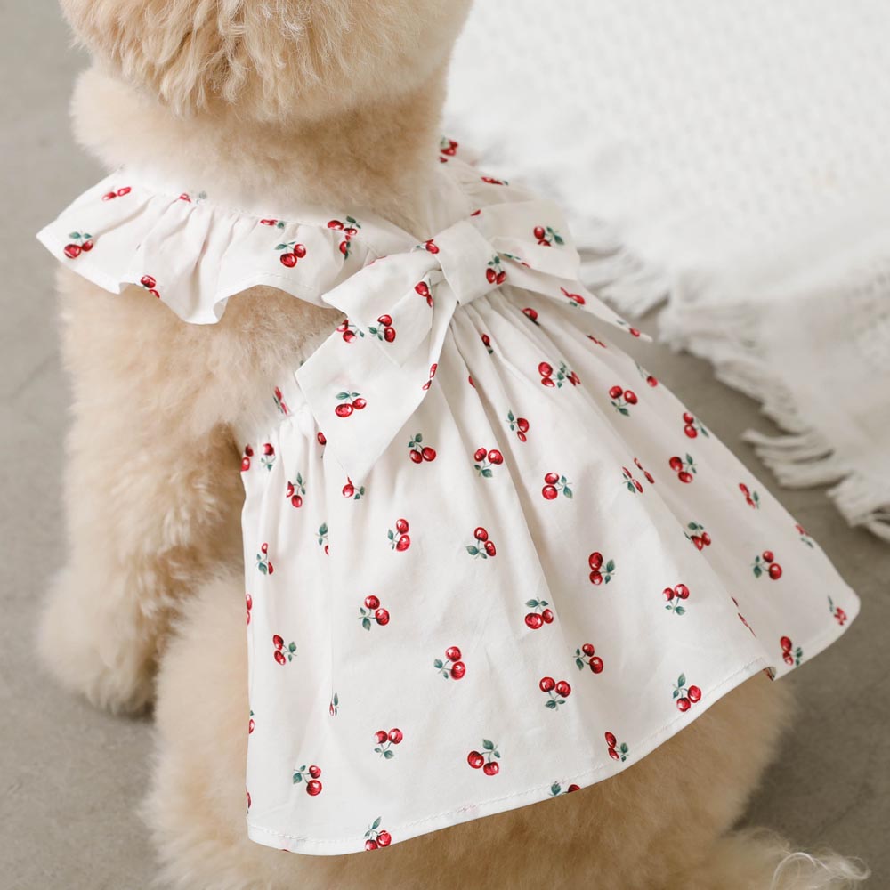 Cool frill ribbon fruit pattern dress