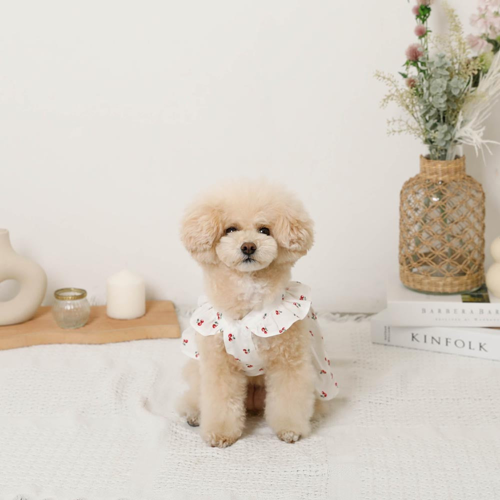 Cool frill ribbon fruit pattern dress