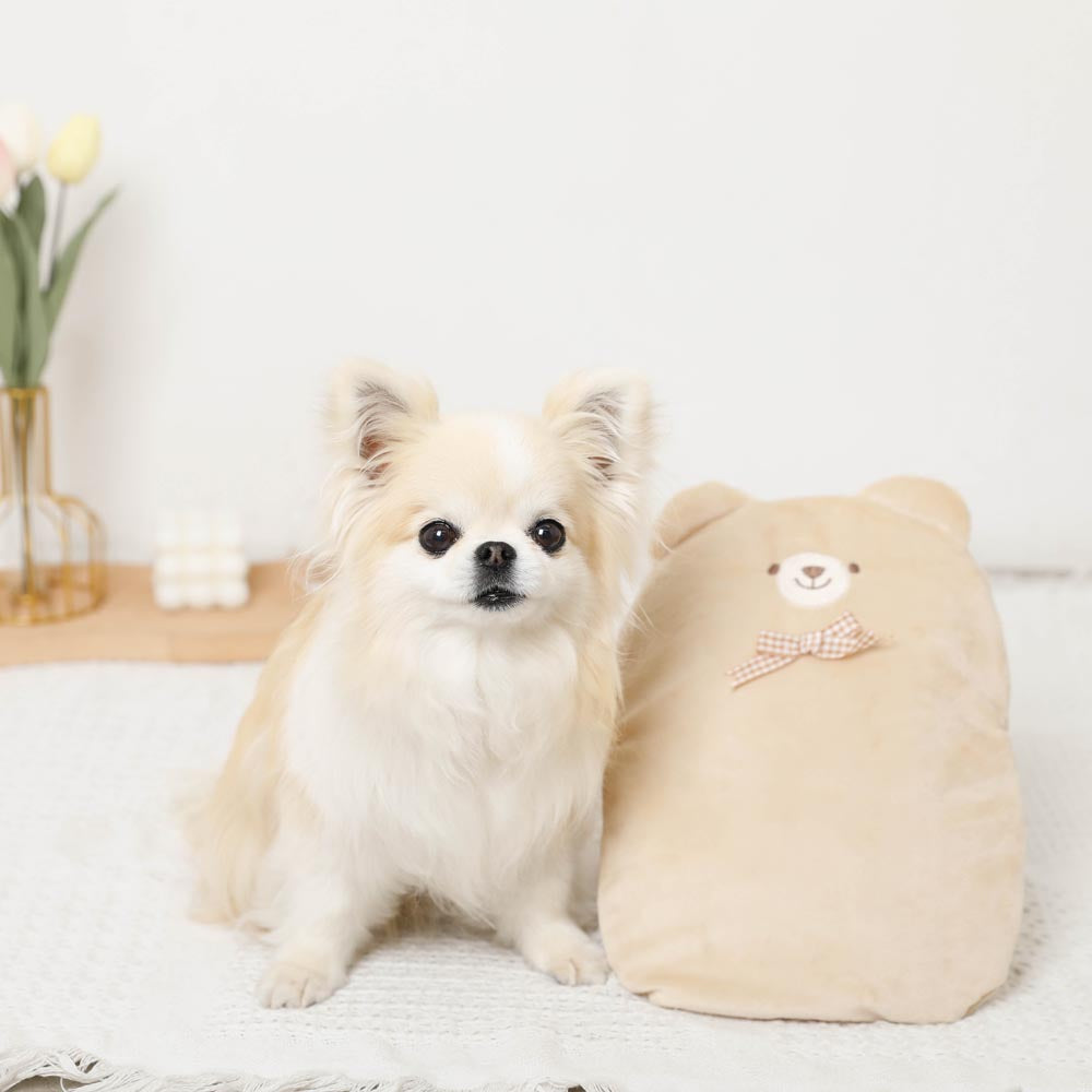 Kuma-san cold/thermal multi-pouch