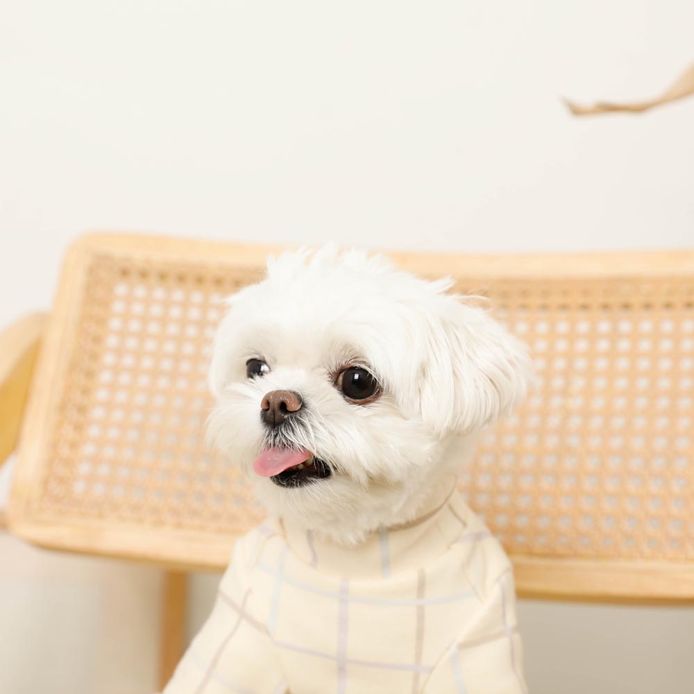 Multi-plaid high neck rib top