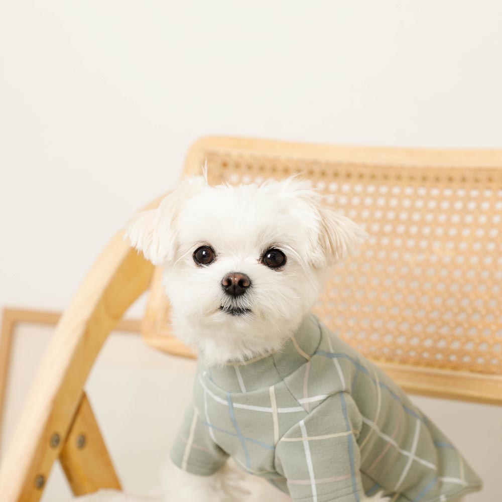 Multi-plaid high neck rib top