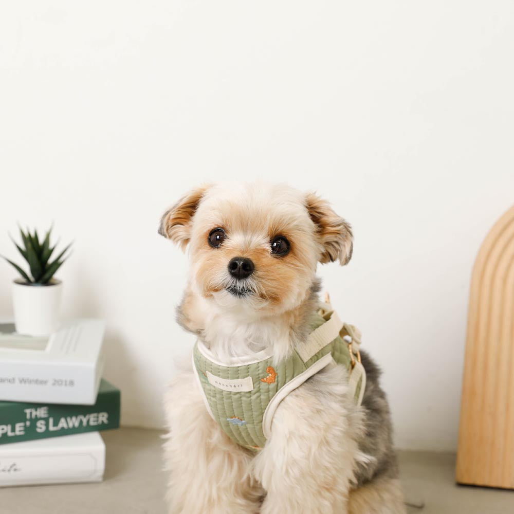 Dinosaur pattern embroidery harness + lead set [Name embroidery available]