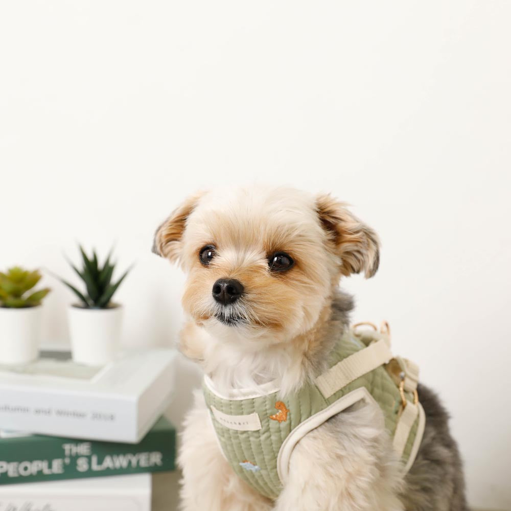 Dinosaur pattern embroidery harness + lead set [Name embroidery available]