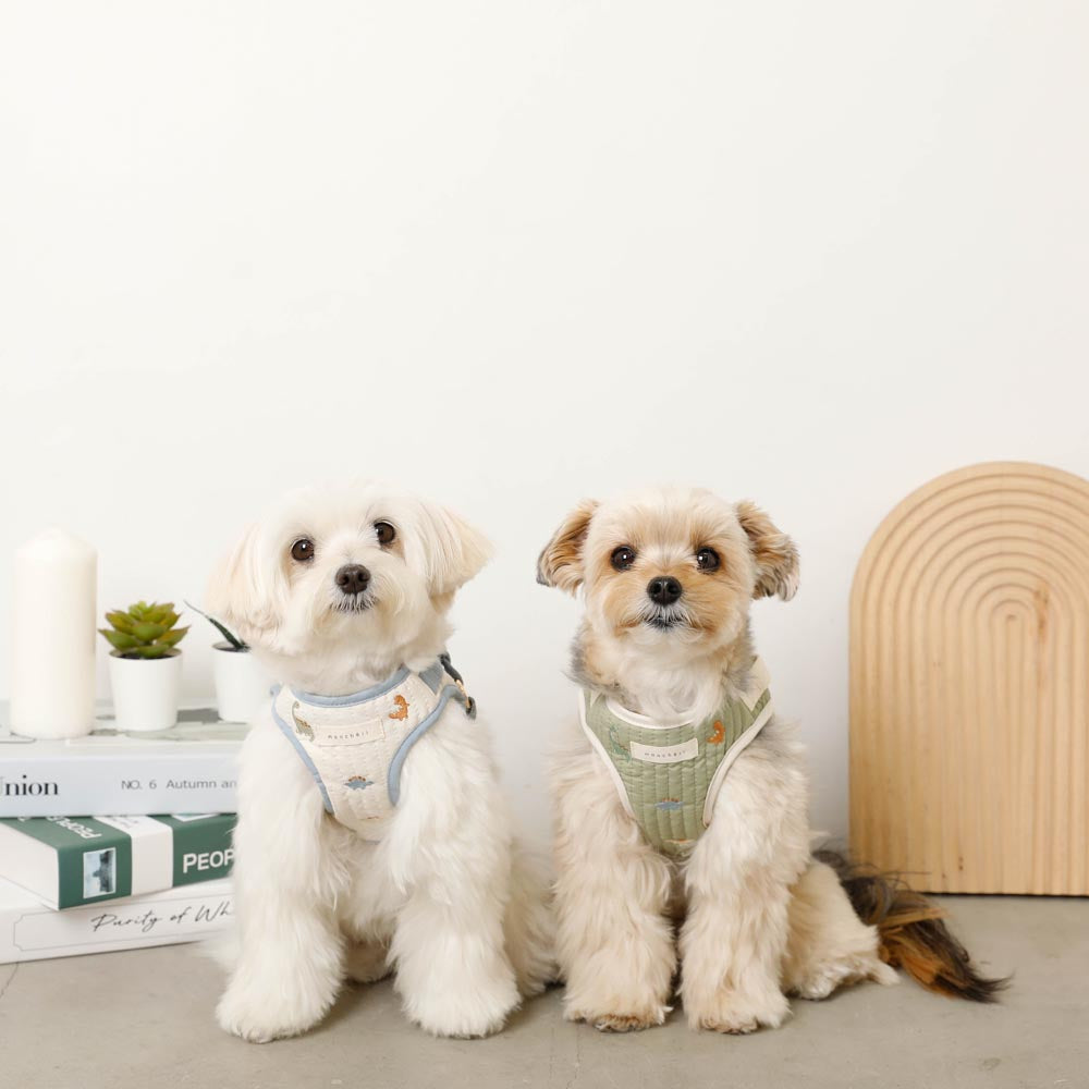Dinosaur pattern embroidery harness + lead set [Name embroidery available]