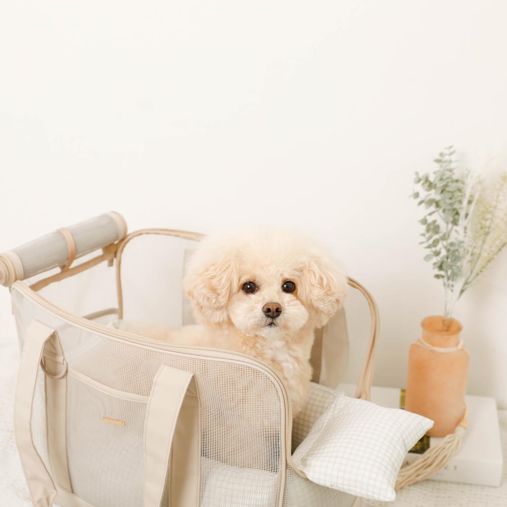 メッシュペットトートバッグ+冷感チェック柄ふんわりクッション付き