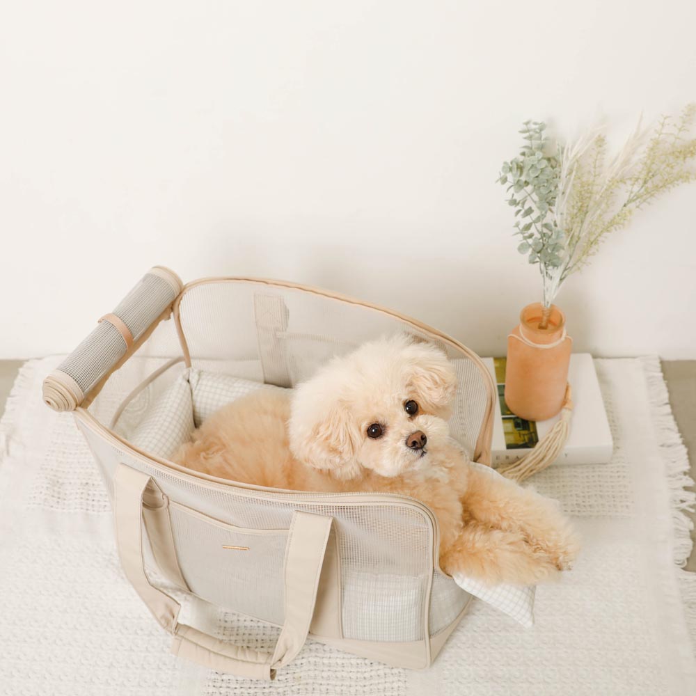 メッシュペットトートバッグ+冷感チェック柄ふんわりクッション付き