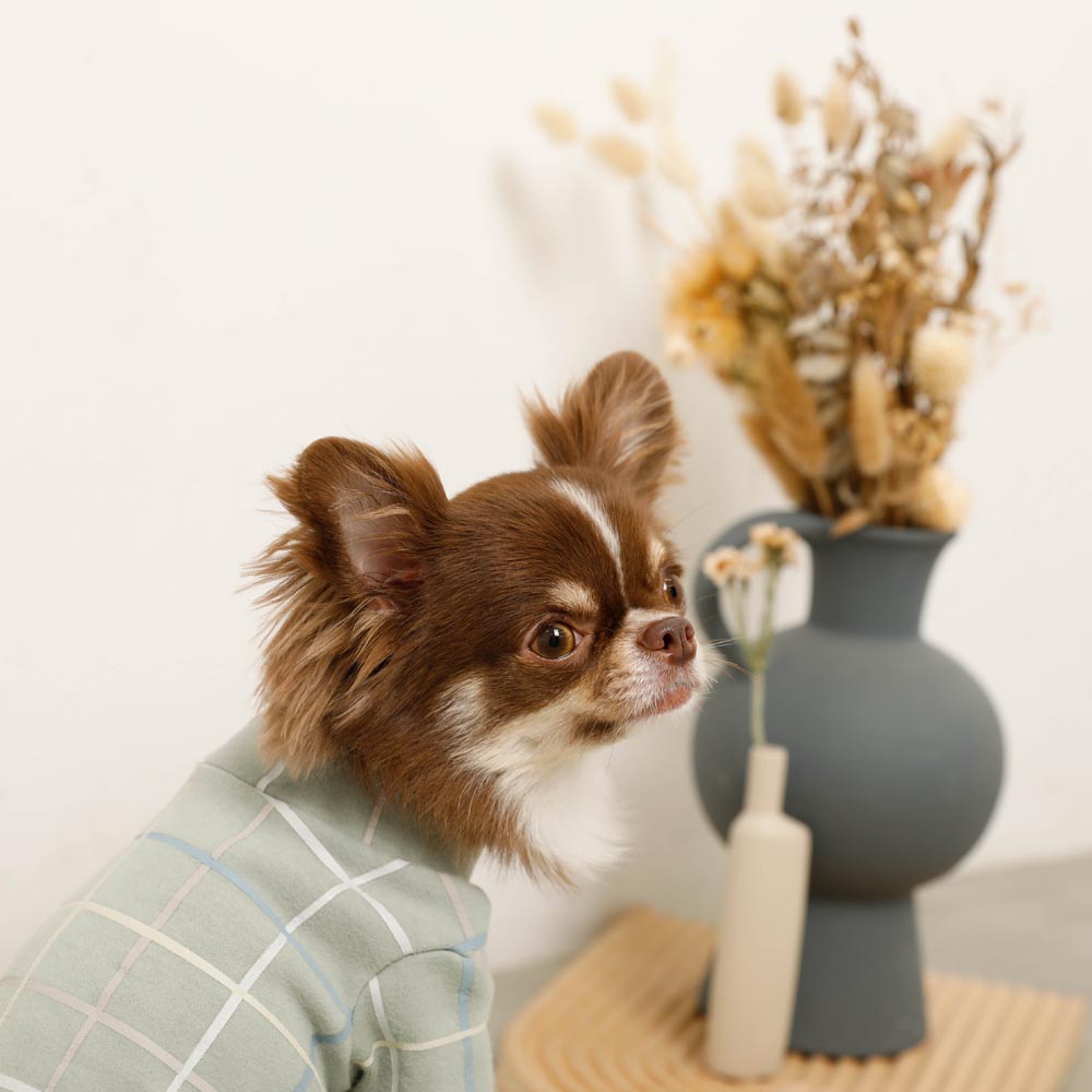 Multi-plaid high neck rib top