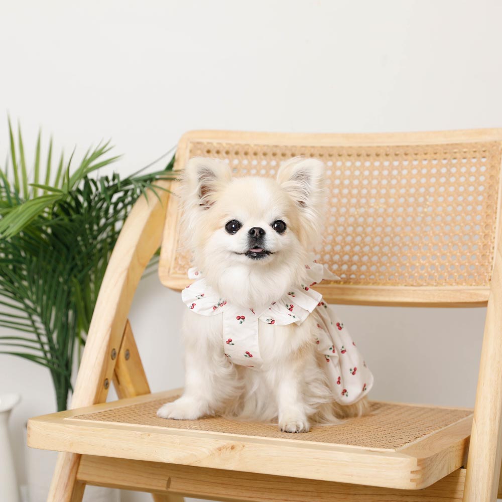 Cool frill ribbon fruit pattern dress