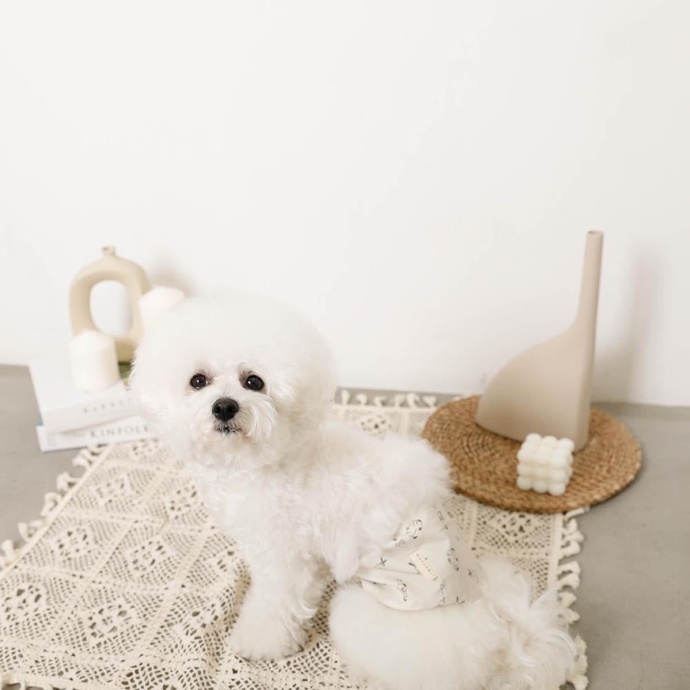 Dog pattern manners belt