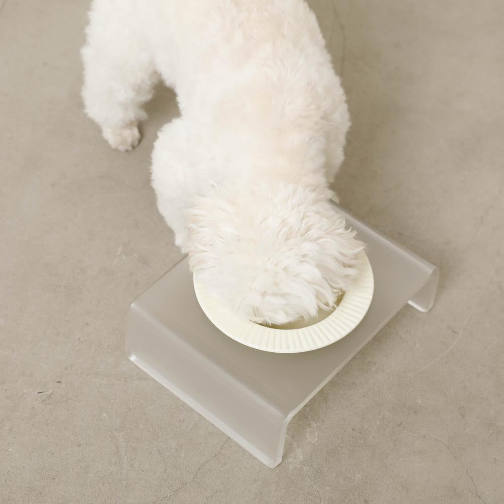 Acrylic clear base food bowl