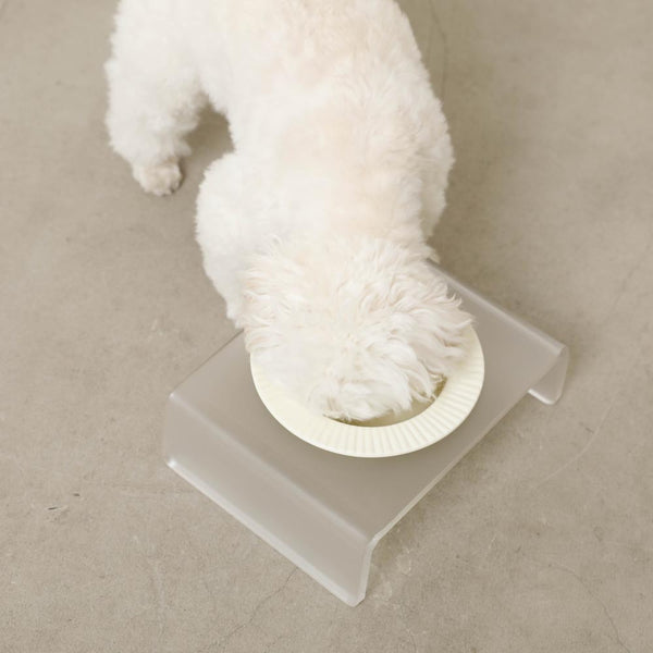 Acrylic Clear Base Food Bowl