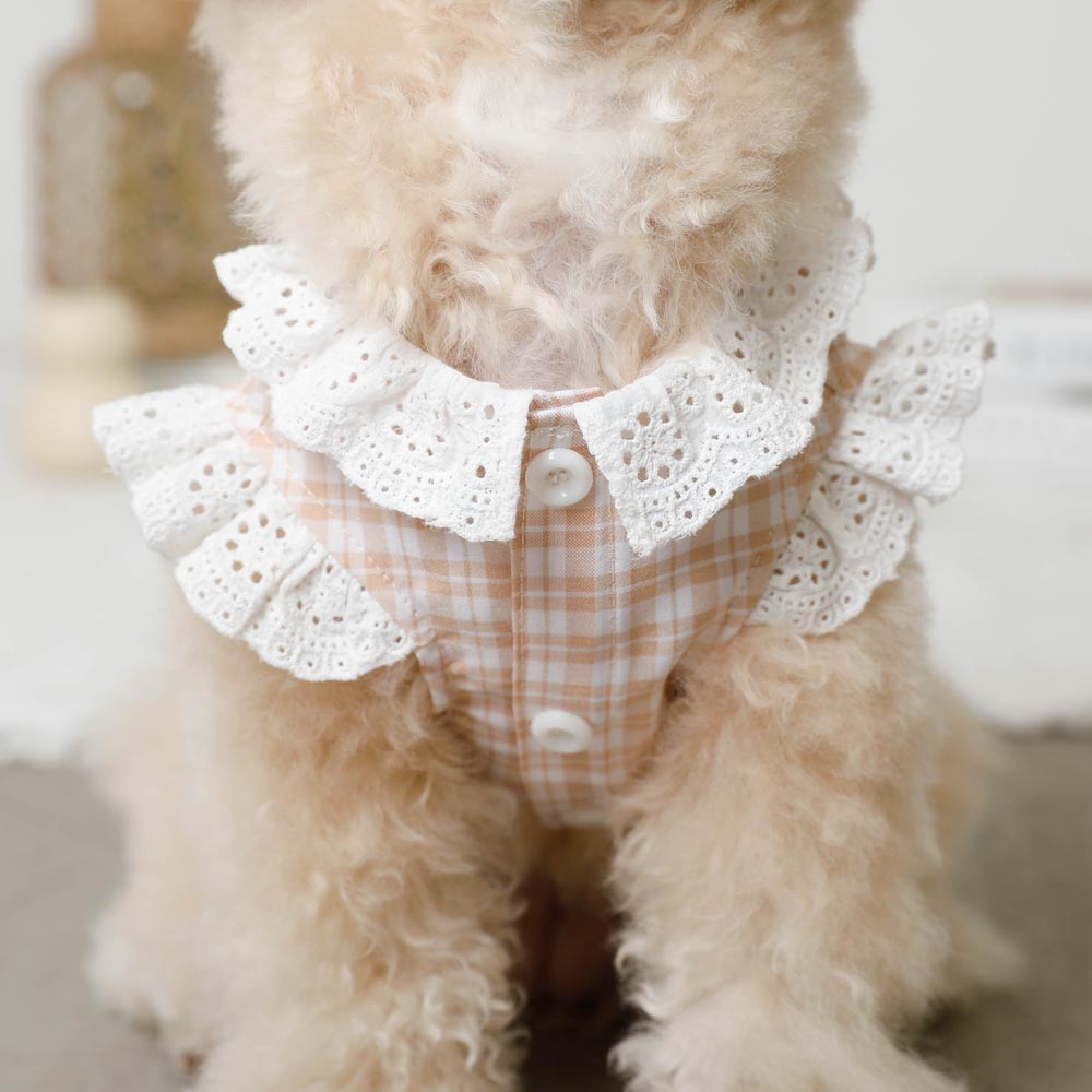 cotton ruffle collar tops
