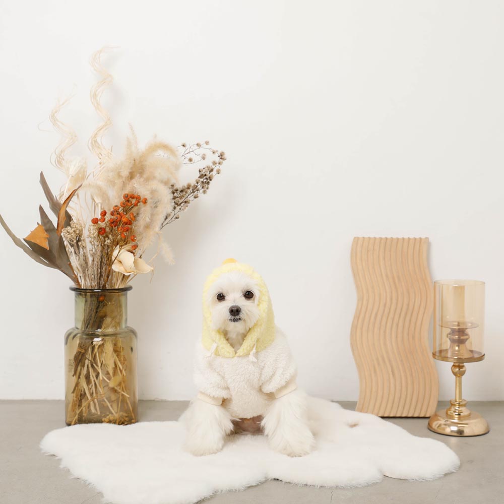 小鸡先生bohood派克