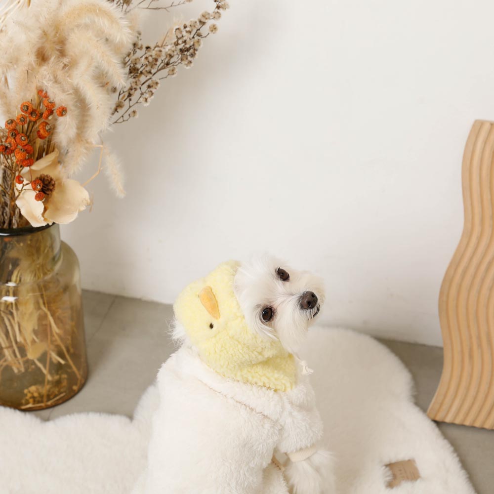 小鸡先生bohood派克