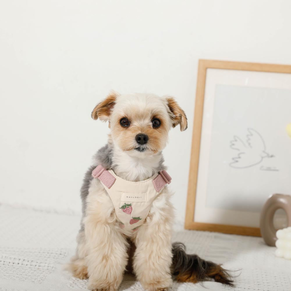 Cool strawberry pattern harness + lead set [Name embroidery available]