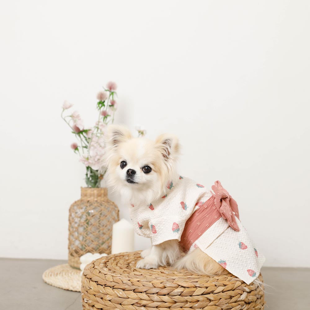 アトリエgg Tシャツ 0号　いちご柄パフスリーブ犬服 アトリエgg Tシャツ 0号 いちご柄パフスリーブ犬服 Amazon.co.jp