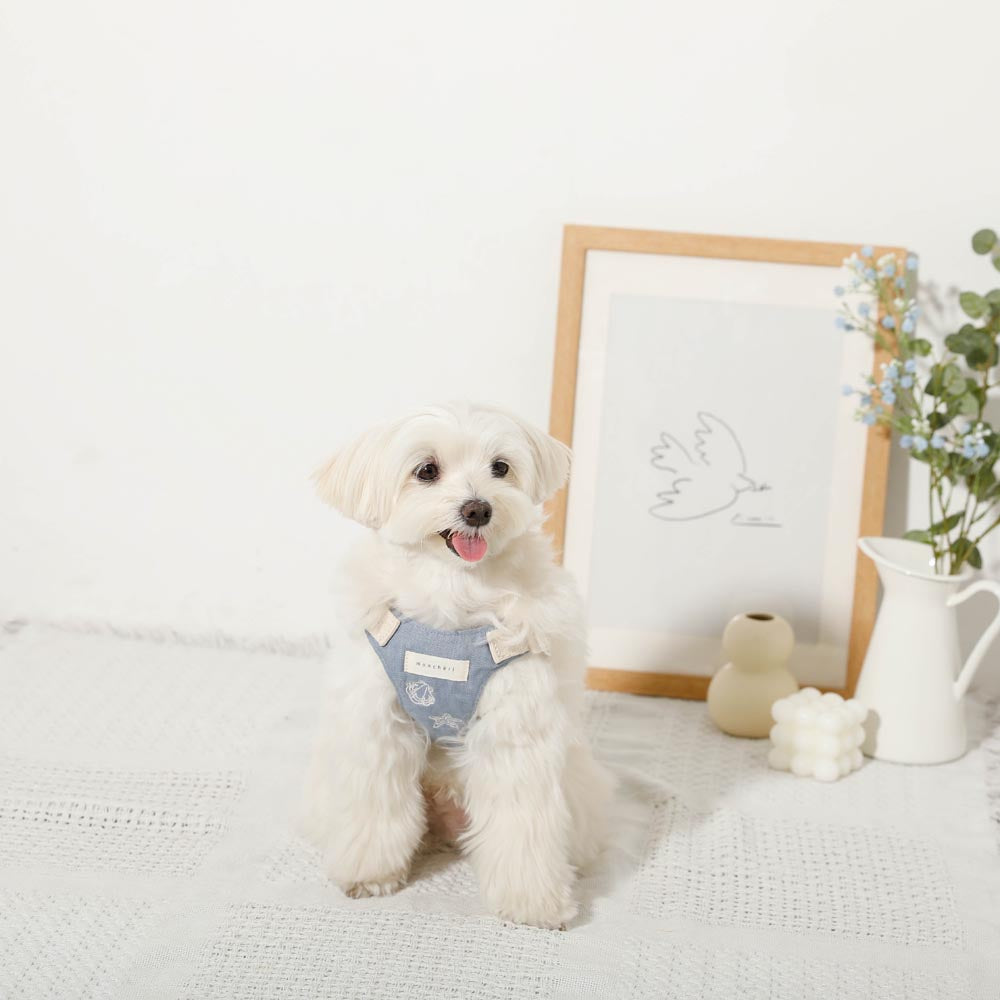 Cool Shell Starfish Pattern Harness + Lead Set [Compatible with name embroidery]
