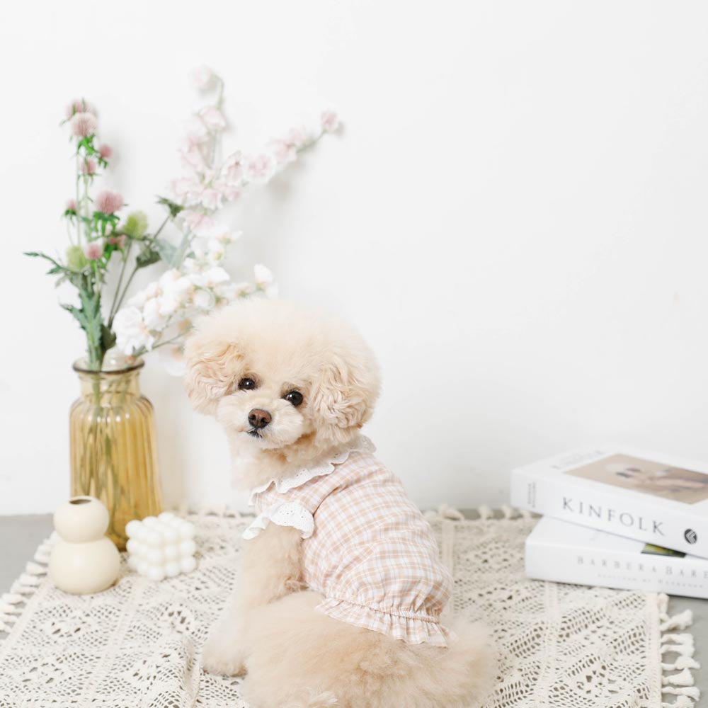 cotton ruffle collar tops