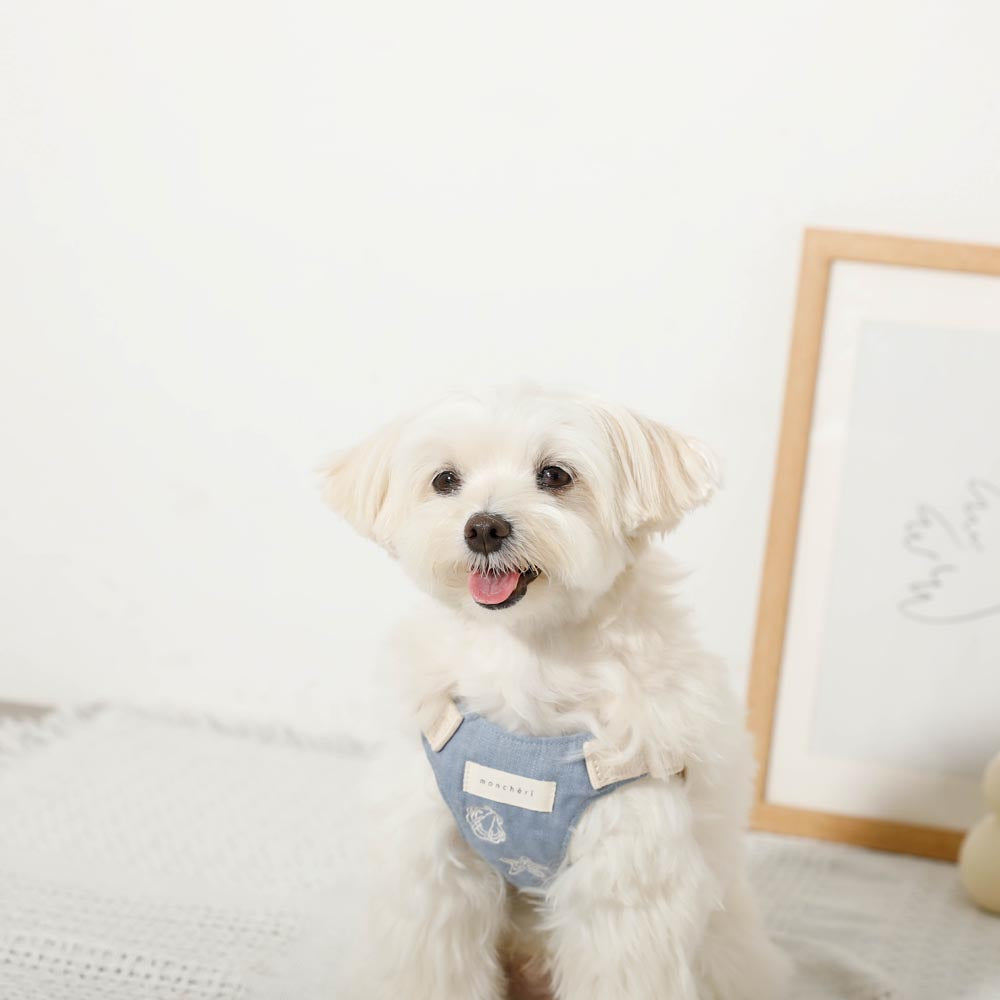Cool Shell Starfish Pattern Harness + Lead Set [Compatible with name embroidery]