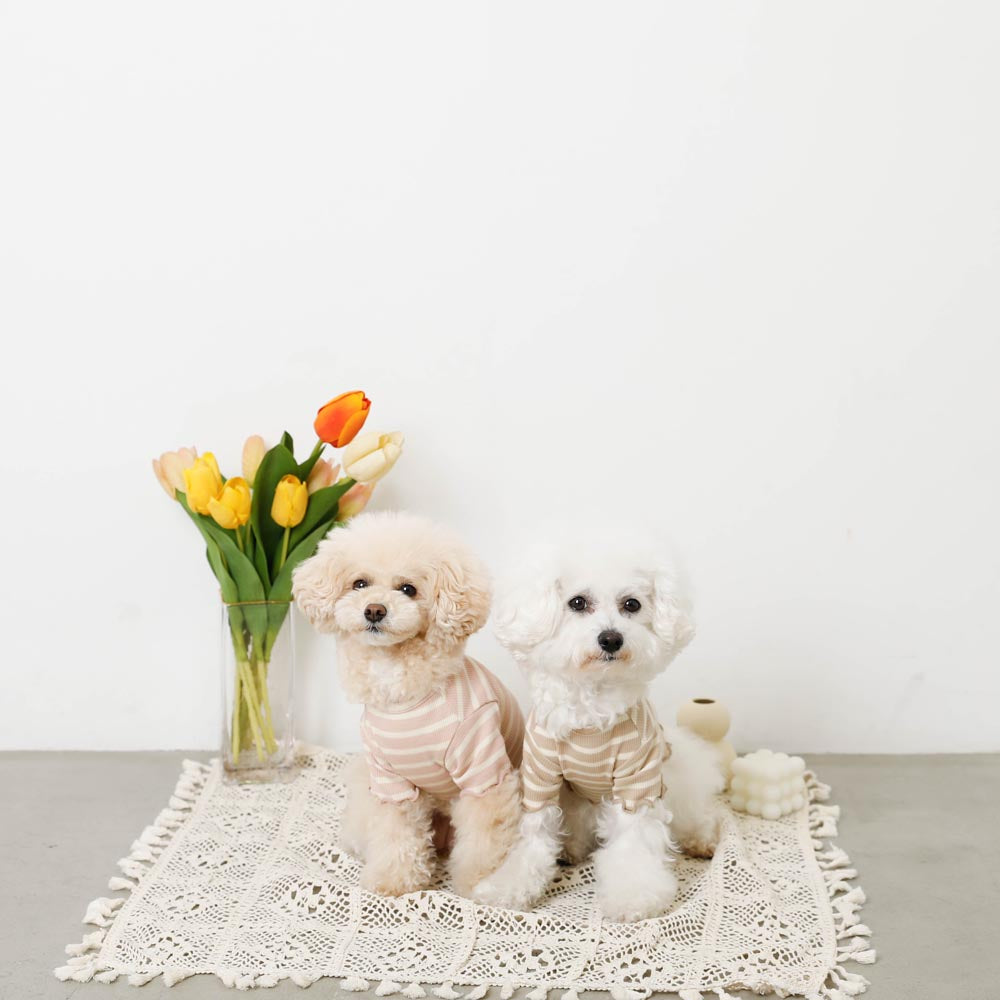 Cool border mellow fruit embroidery tops