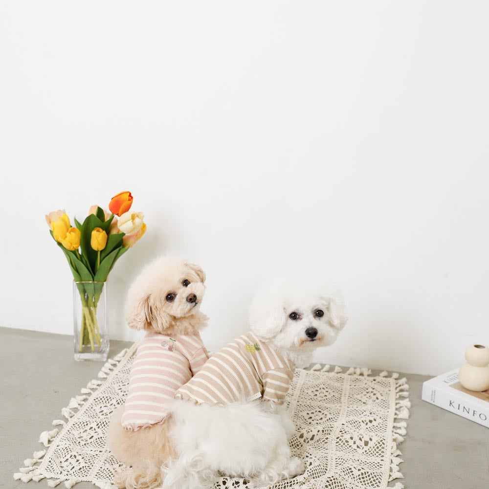 Cool border mellow fruit embroidery tops