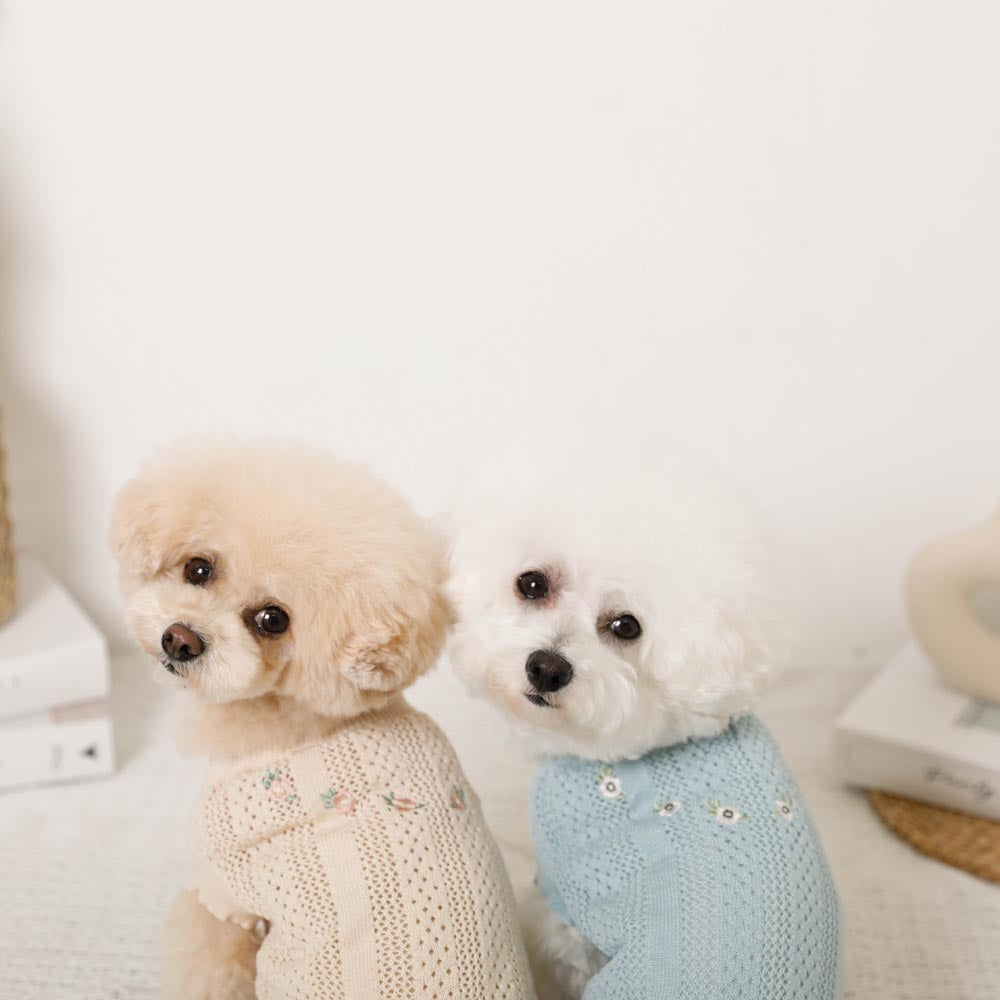 Summer knit embroidered dress