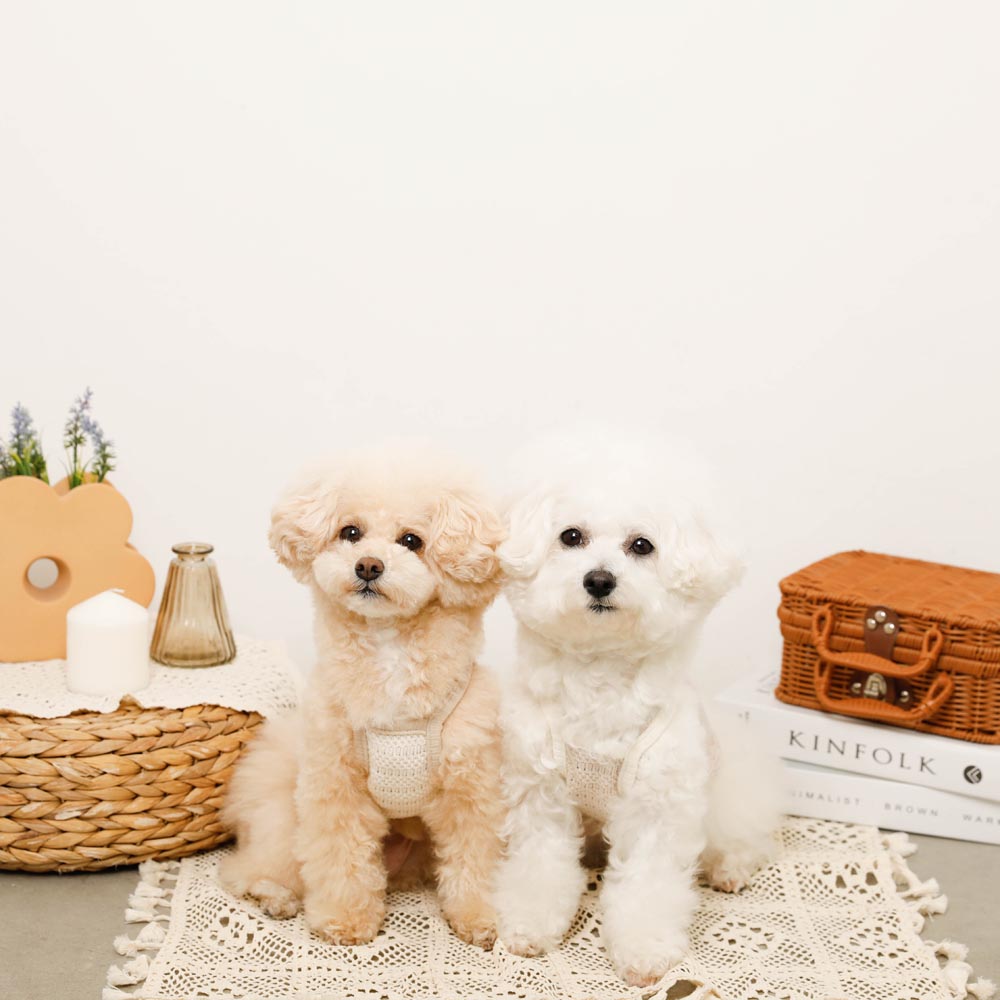 Cool Bear Point Summer Knit Camisole Tops