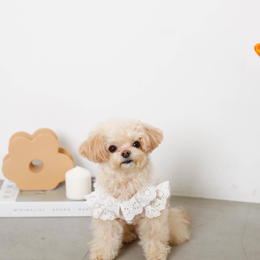 cotton ruffle collar tops