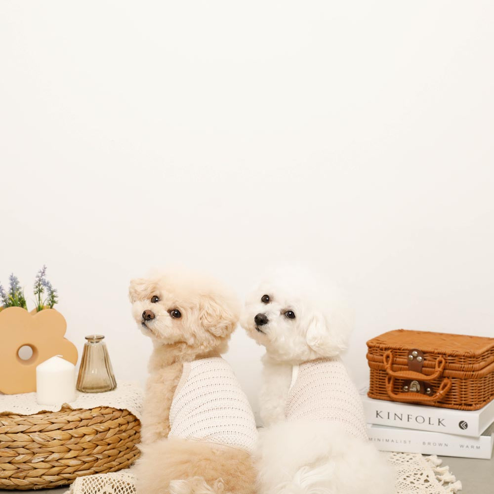 Cool Bear Point Summer Knit Camisole Tops