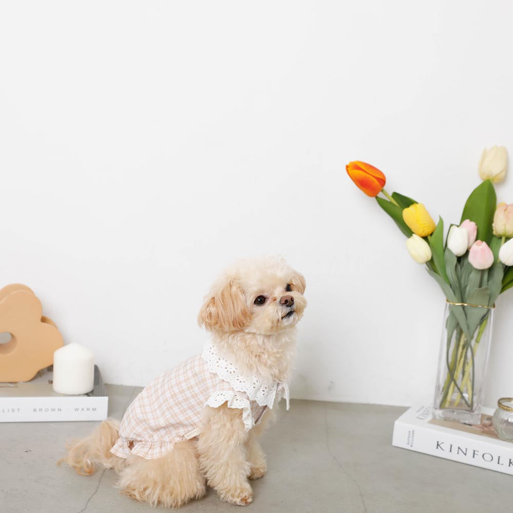 cotton ruffle collar tops