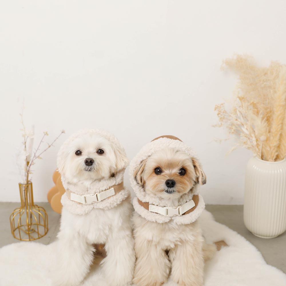 ムートンボアフードハーネス