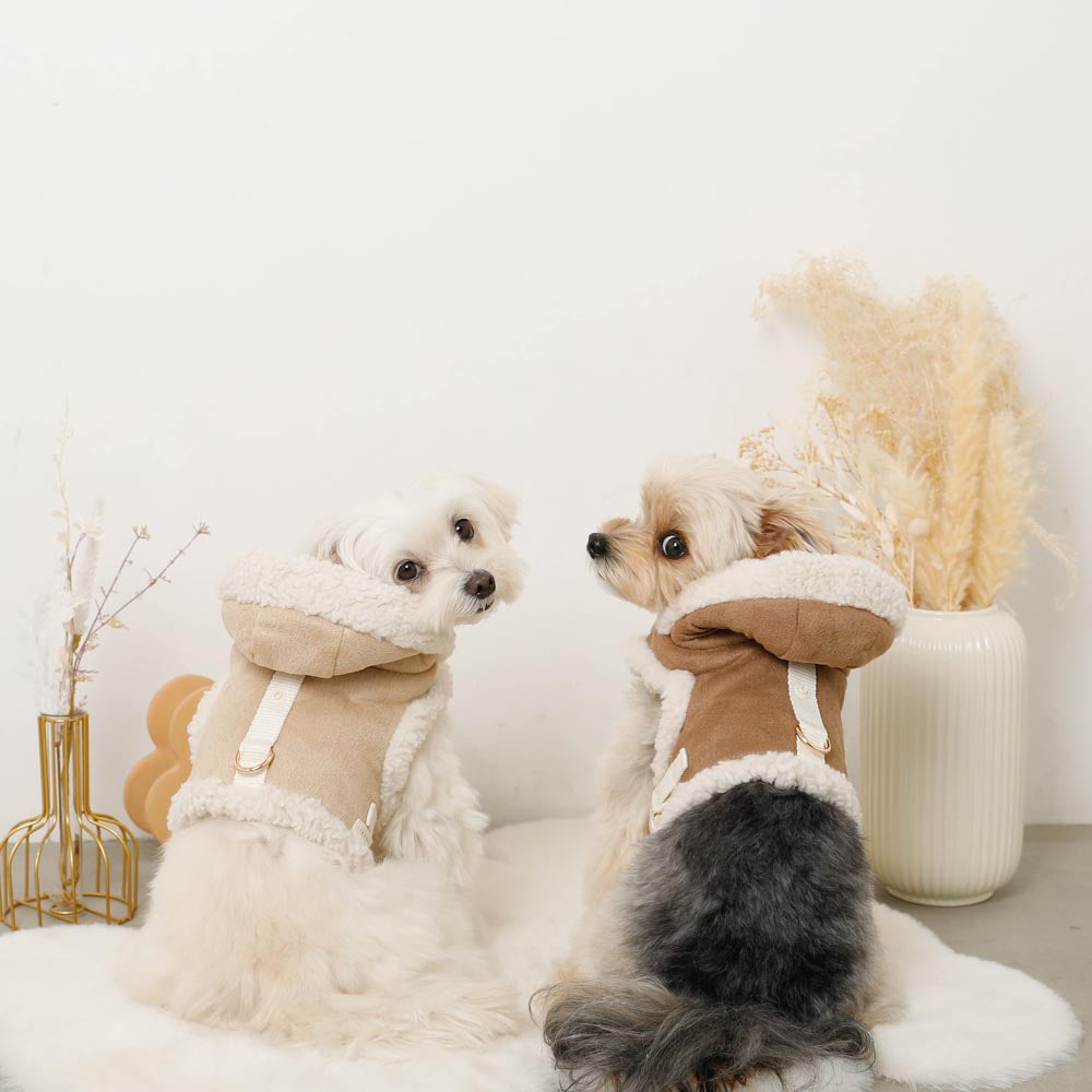 穆顿博德赫尼斯