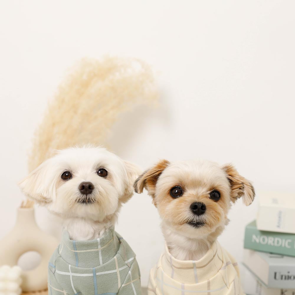 Multi-plaid high neck rib top