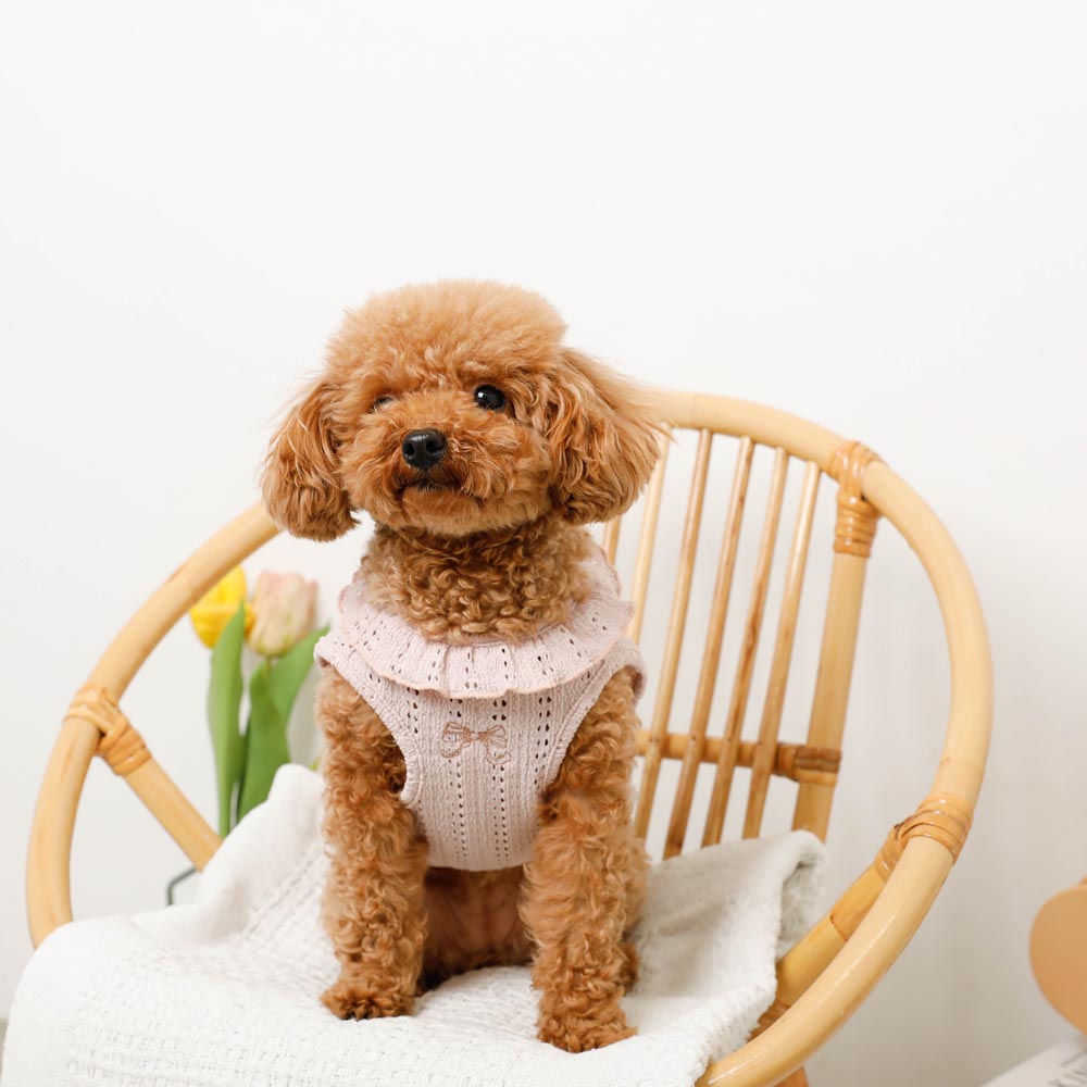 冷感リボン刺繍ワンポイントフリルノースリーブトップス