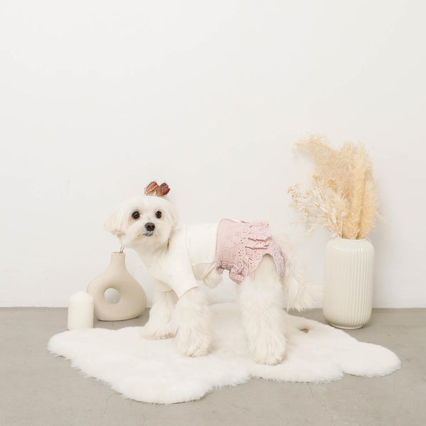 コットンレースフリルサニタリーパンツ