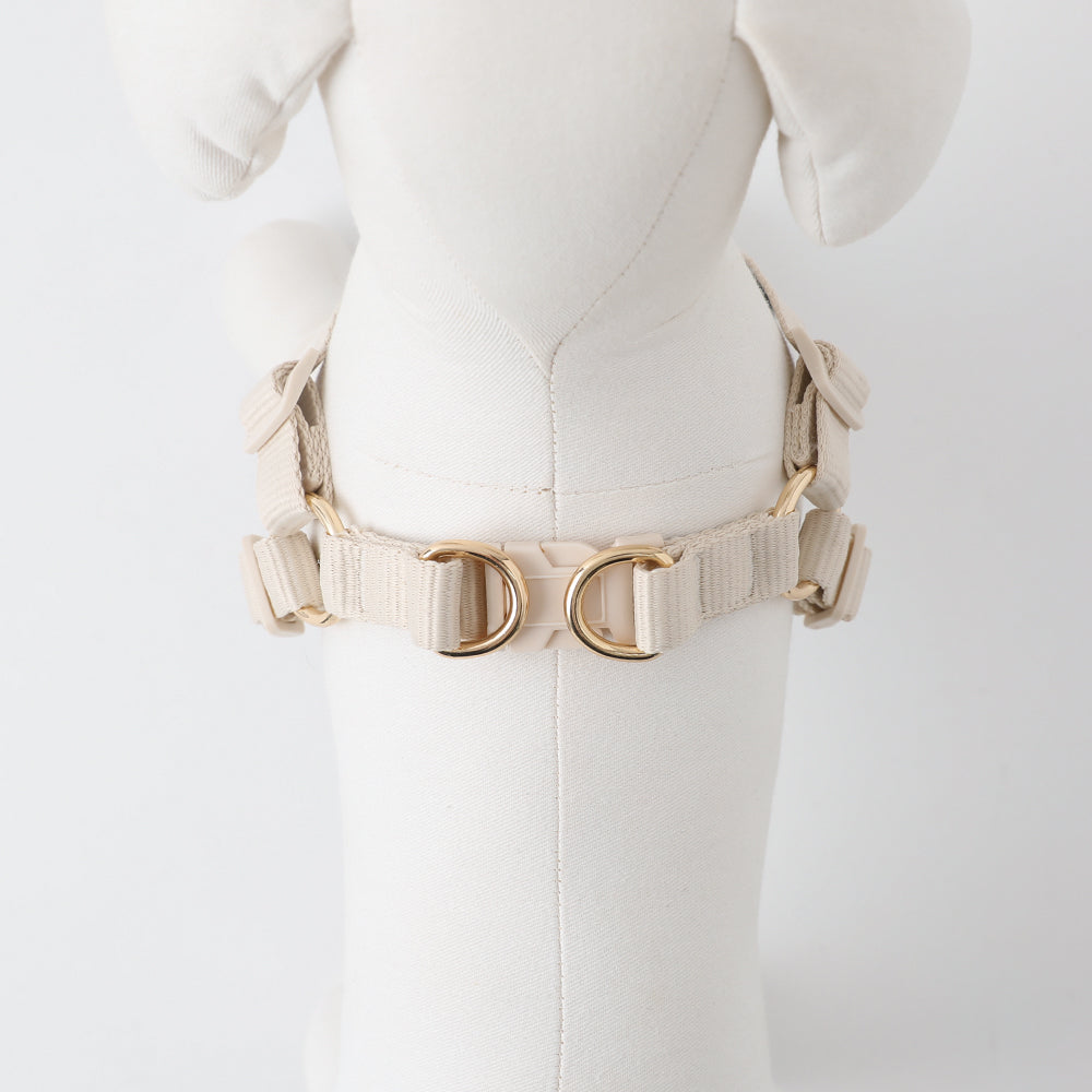 Cool Shell Starfish Pattern Harness + Lead Set [Compatible with name embroidery]