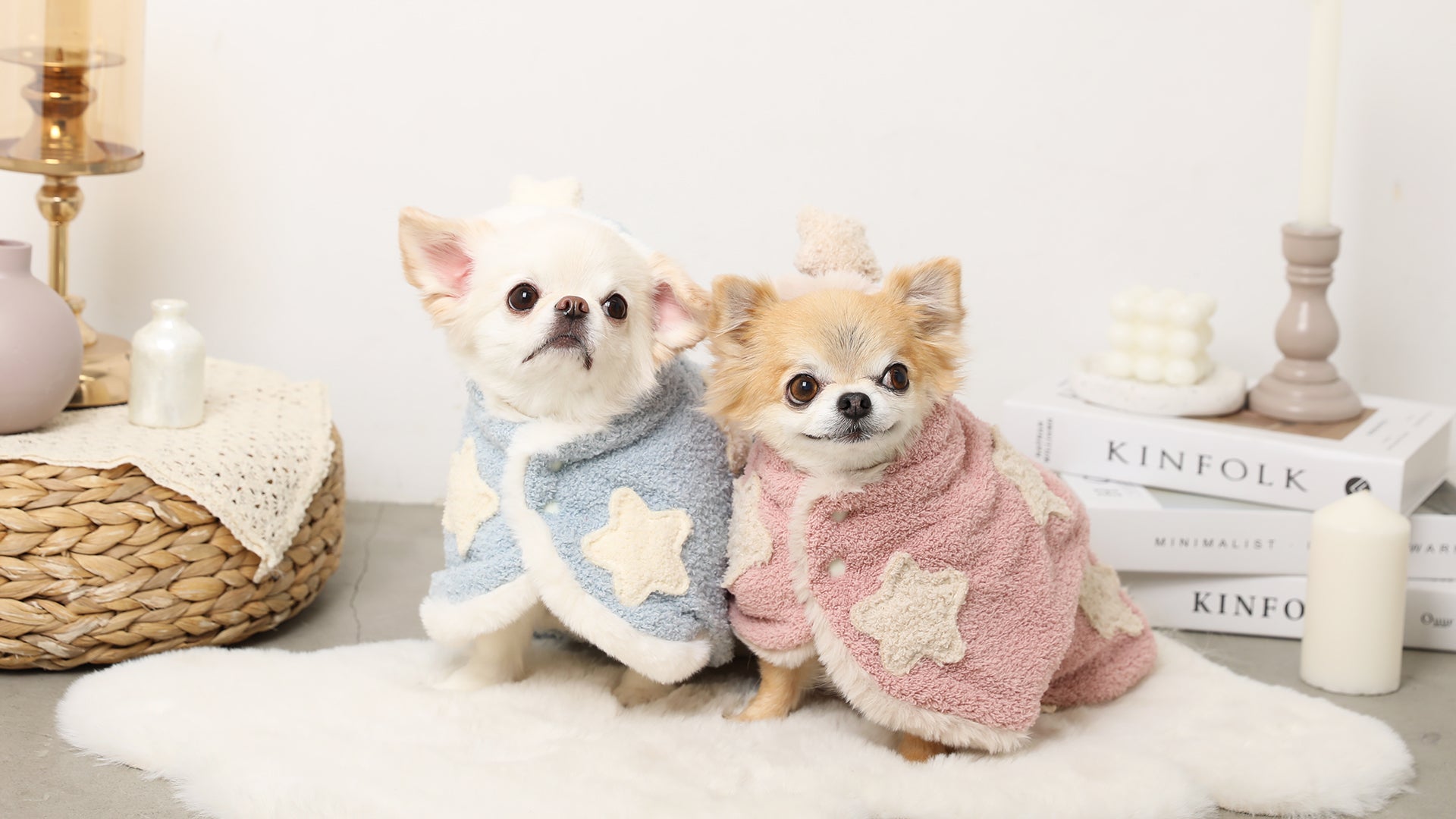 ドッグウェア・犬服通販 - monchéri(モンシェリ) – moncheri