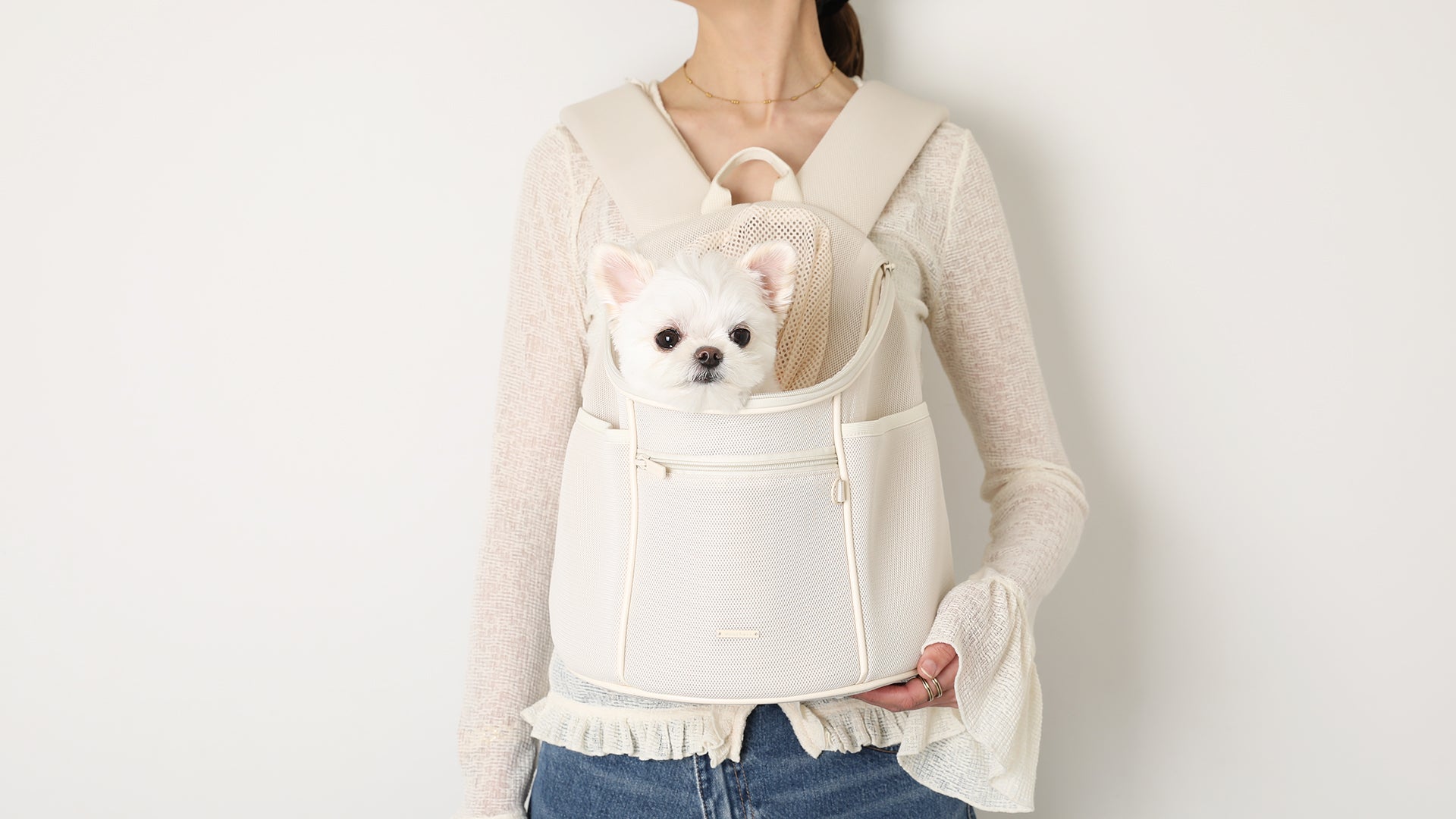 モンシェリ　Mサイズ　黒 ドッグウェア・犬服通販 - monchéri(モンシェリ)