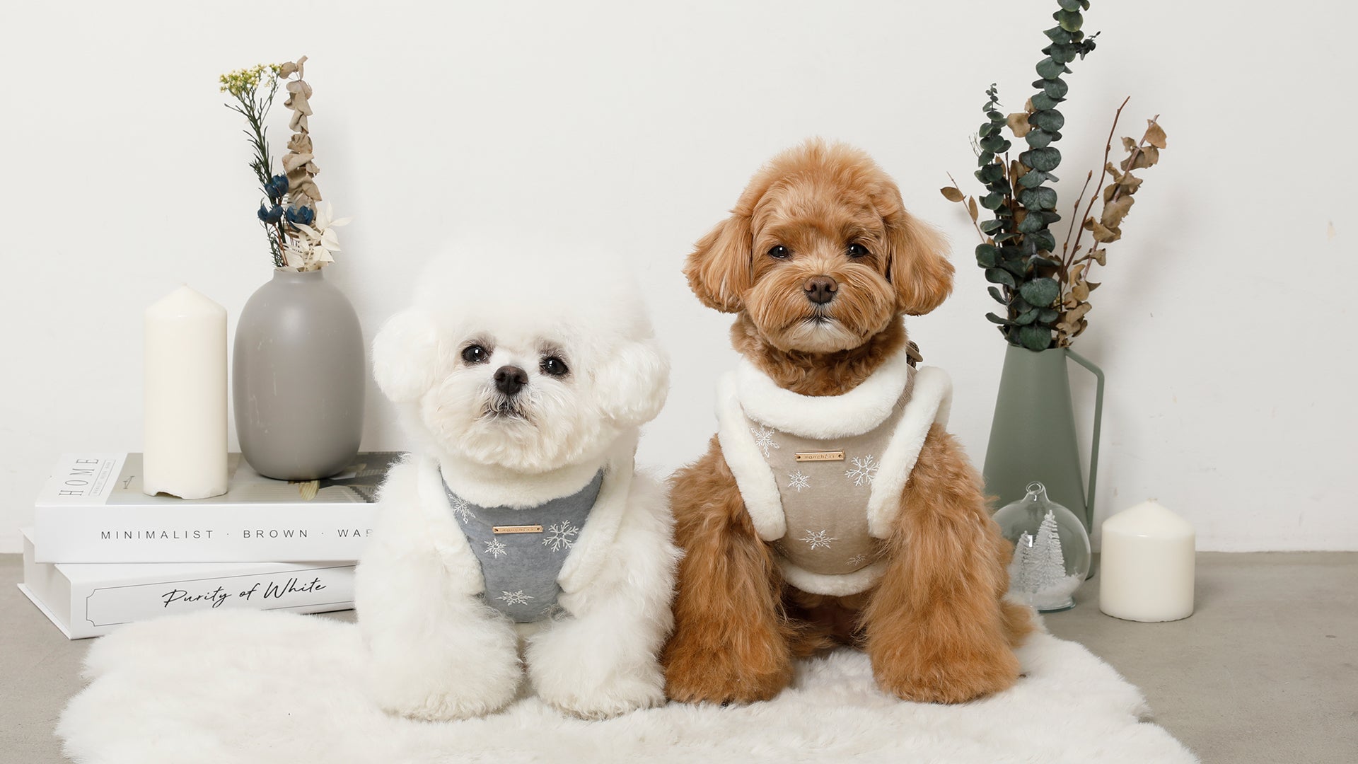 モンシェリ moncheri 犬服 セット 楽天市場】【LINE追加10%OFFクーポン】 moncheri モンシェリ 犬 服