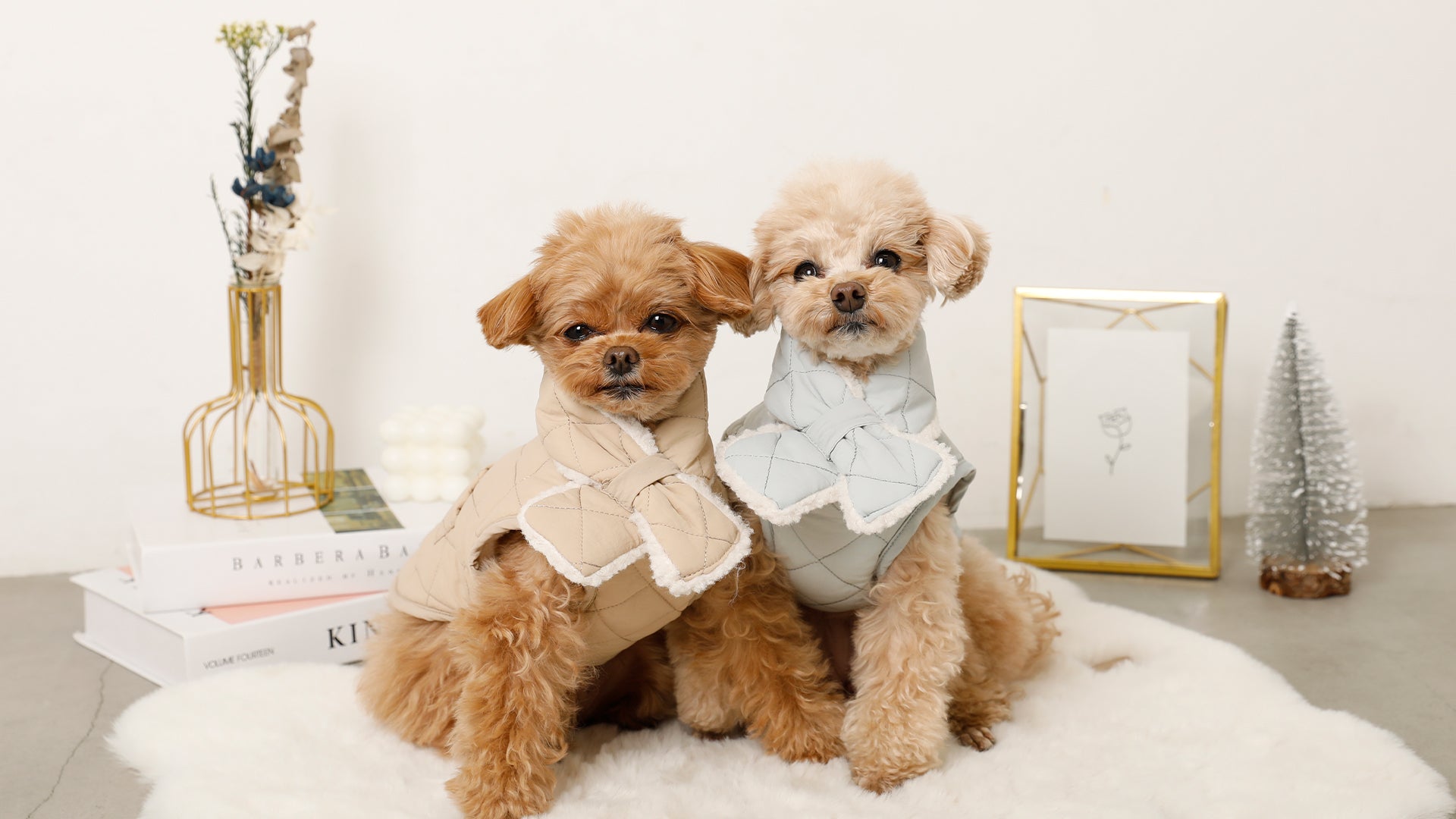 [新品] monchéri 洋服　2枚セット　Sサイズ ドッグウェア・犬服通販 - monchéri(モンシェリ) – moncheri