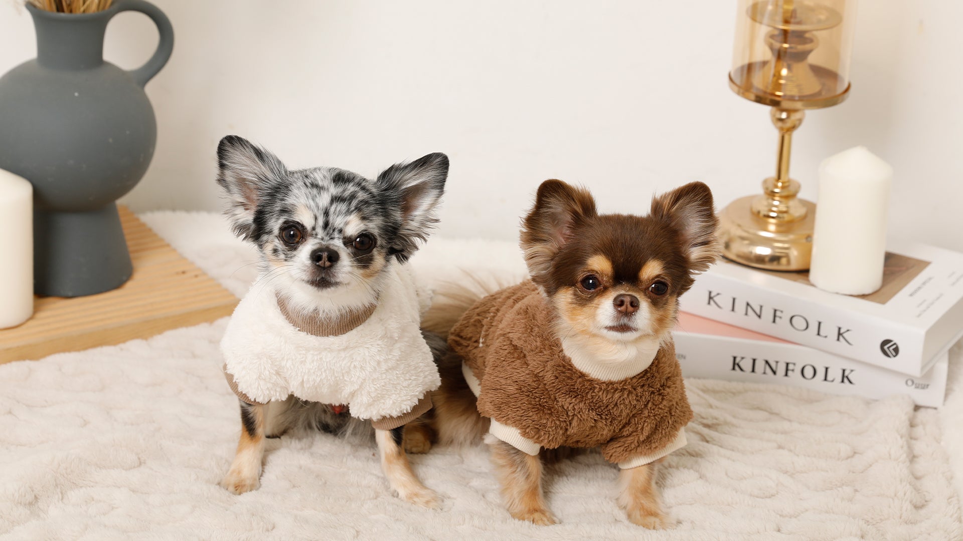 ドッグウェア・犬服通販 - monchéri(モンシェリ) – moncheri