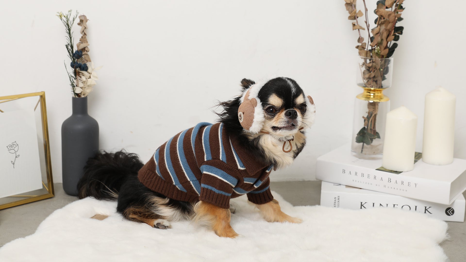 モンシェリ　Mサイズ　黒 ドッグウェア・犬服通販 - monchéri(モンシェリ)