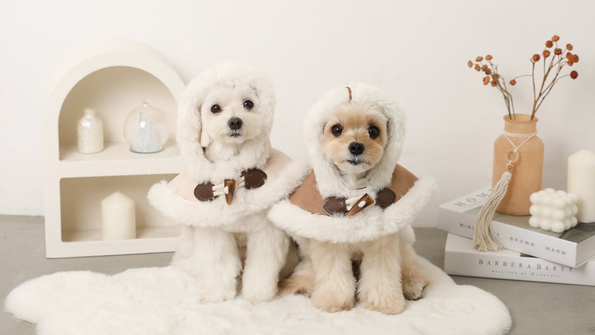 モンシェリ セット 3点のみ 商品ページを確認して下さい ドッグウェア・犬服通販 - monchéri(モンシェリ)