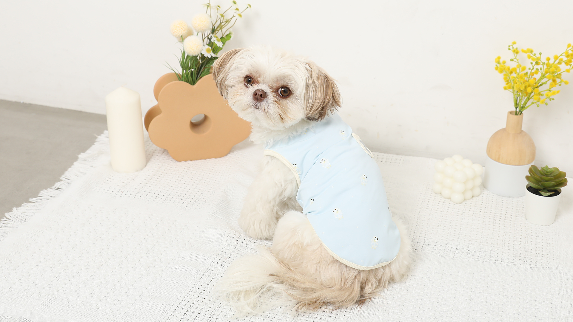 [新品] monchéri 洋服　ツインコーデ　Sサイズ ドッグウェア・犬服通販 - monchéri(モンシェリ)