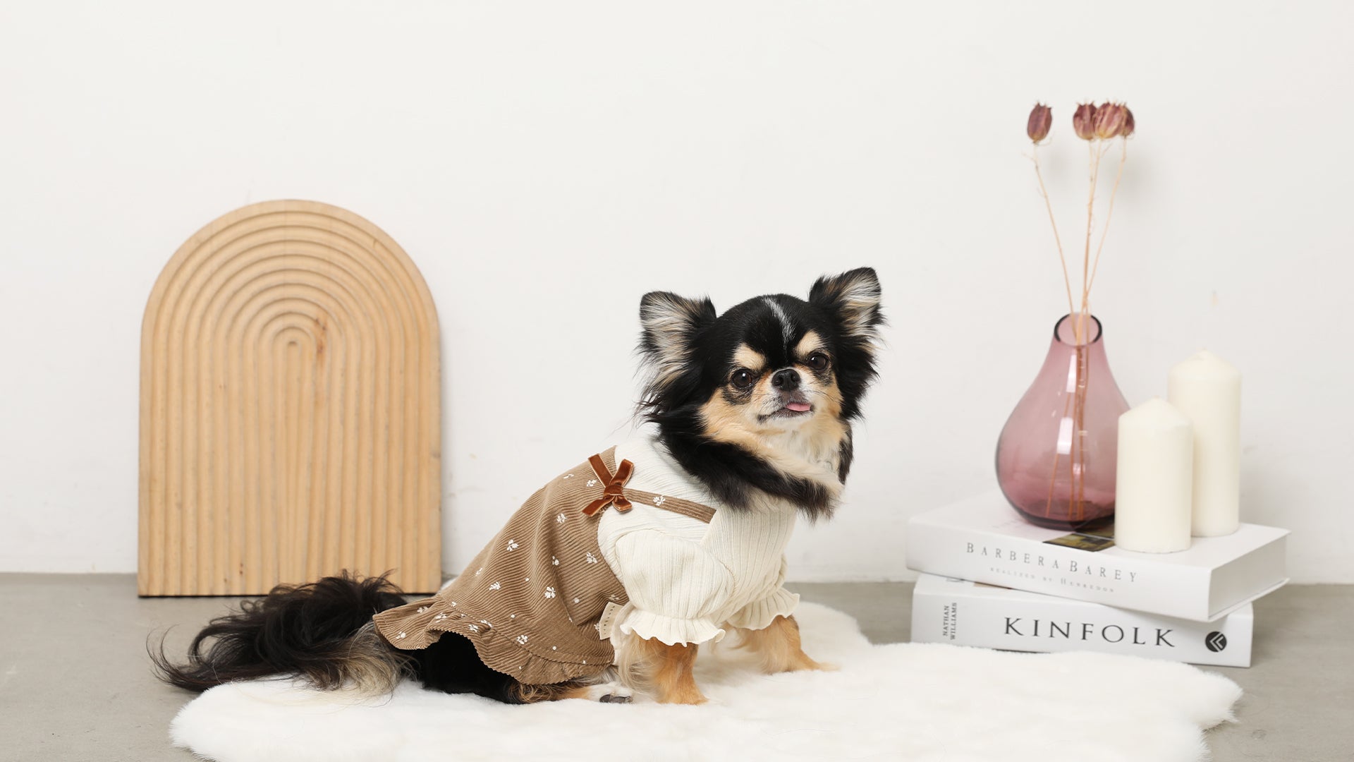 モンシェリ　Mサイズ　黒 ドッグウェア・犬服通販 - monchéri(モンシェリ)