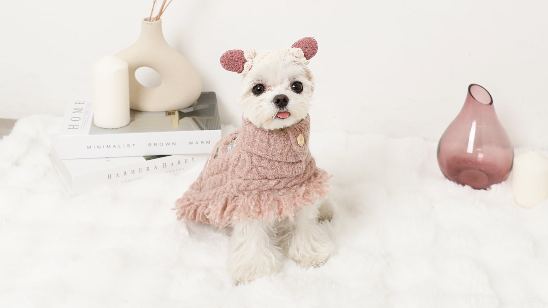 ドッグウェア・犬服通販 - monchéri(モンシェリ) – moncheri