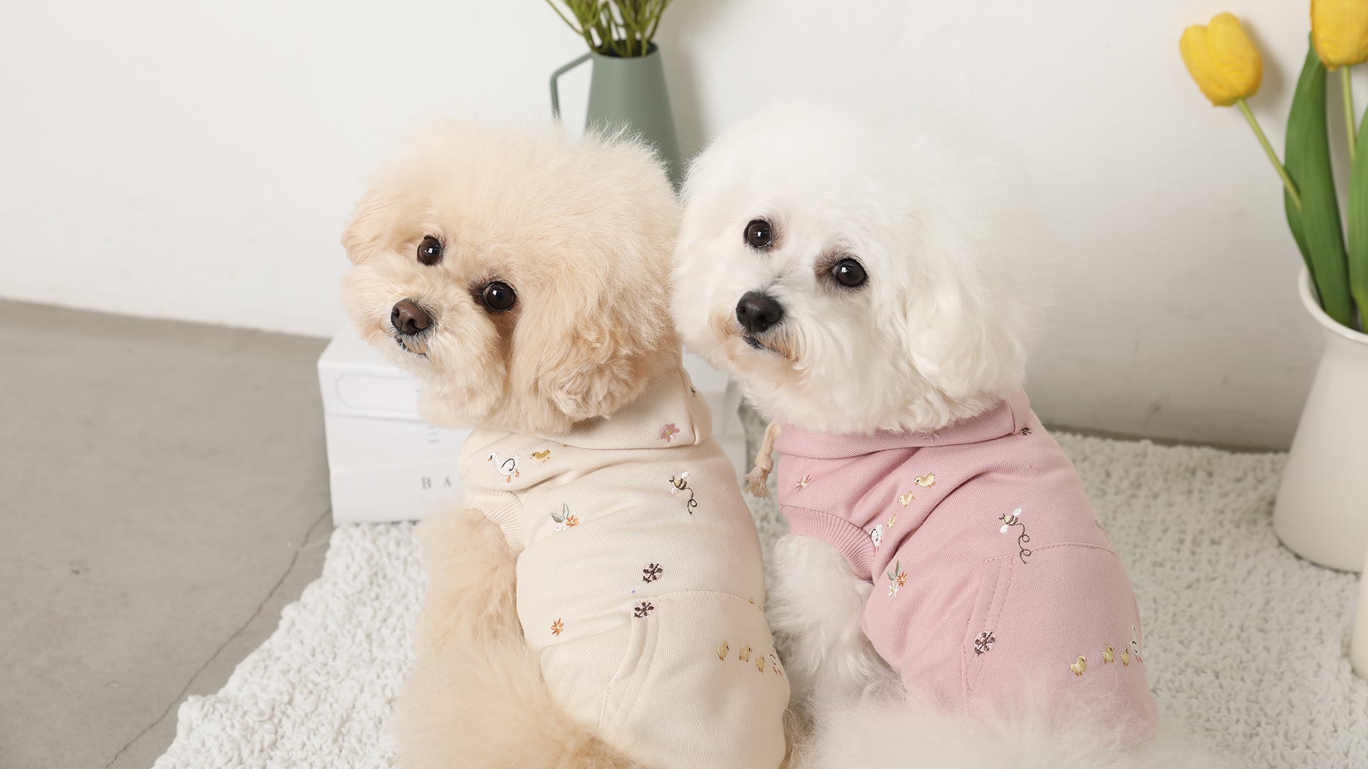 ドッグウェア・犬服通販 - monchéri(モンシェリ) – moncheri